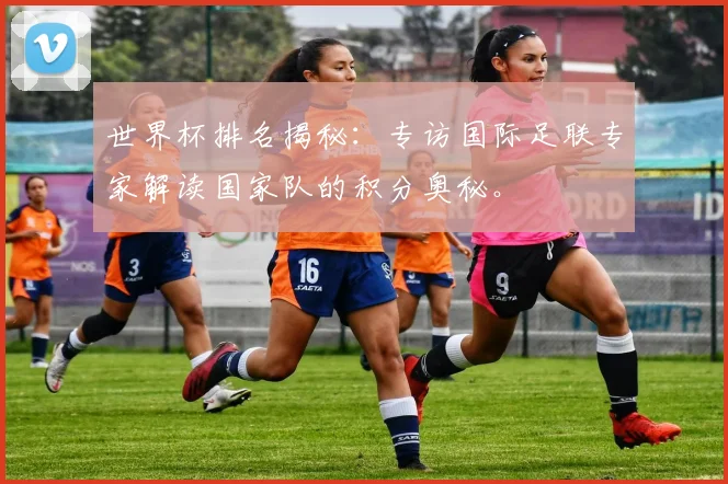 世界杯排名揭秘：专访国际足联专家解读国家队的积分奥秘。