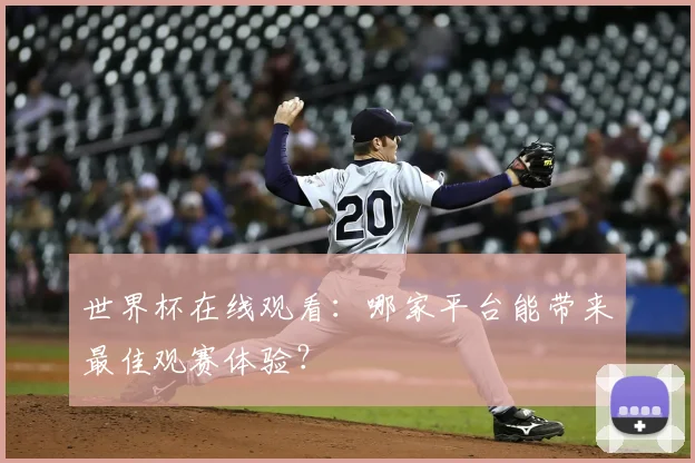 世界杯在线观看：哪家平台能带来最佳观赛体验？