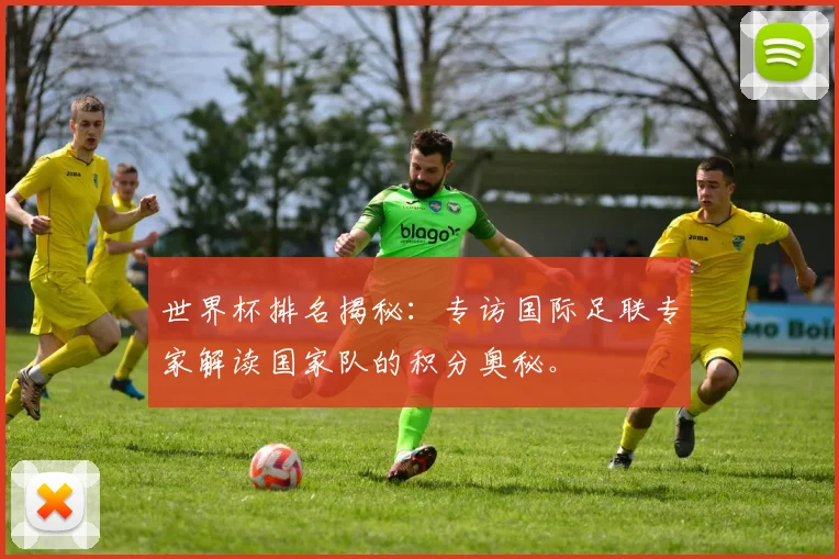 世界杯排名揭秘：专访国际足联专家解读国家队的积分奥秘。