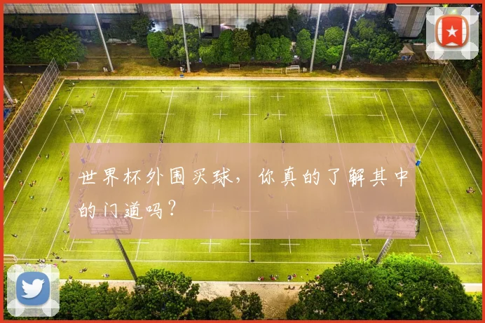 世界杯外围买球，你真的了解其中的门道吗？